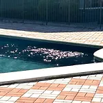Casa Chiaretto Piscina E Relax Nel Cuore Di Moniga Διαμέρισμα *